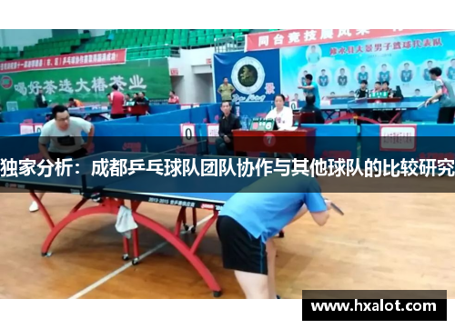 独家分析：成都乒乓球队团队协作与其他球队的比较研究